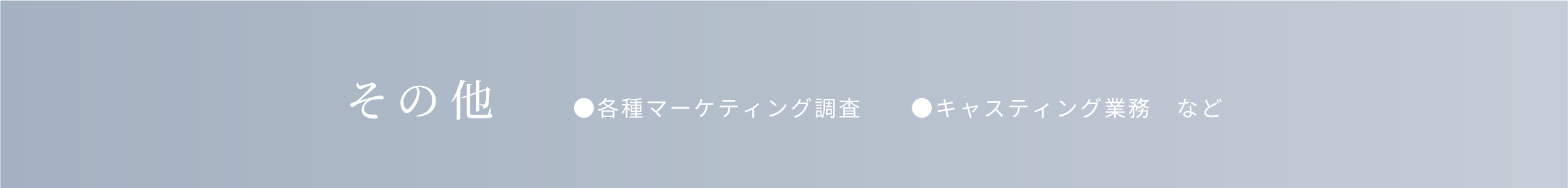 その他 各種マーケティング調査、キャスティング業務など